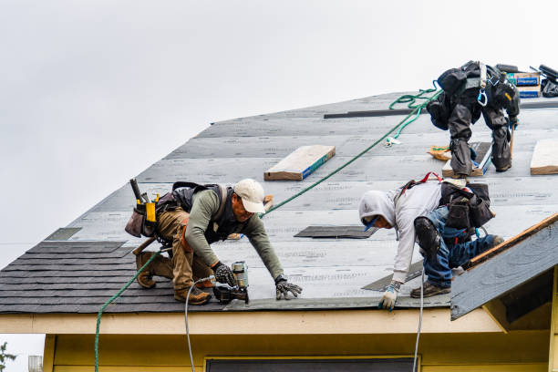 Professional Gutter Installation technician working in Clarkdale, GA